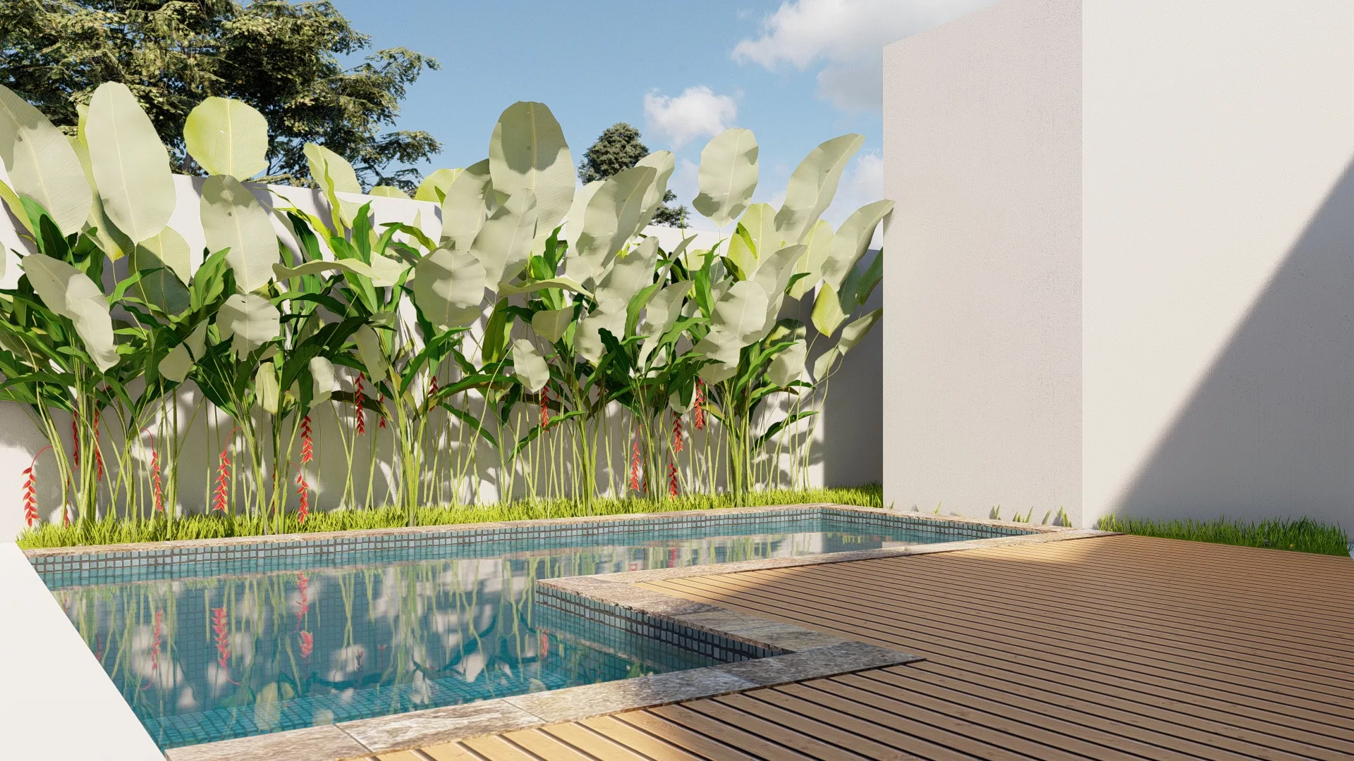 Canto da piscina em L com deck de madeira e canteiro de folhagens de folhas largas com brácteas vermelhas rente ao muro