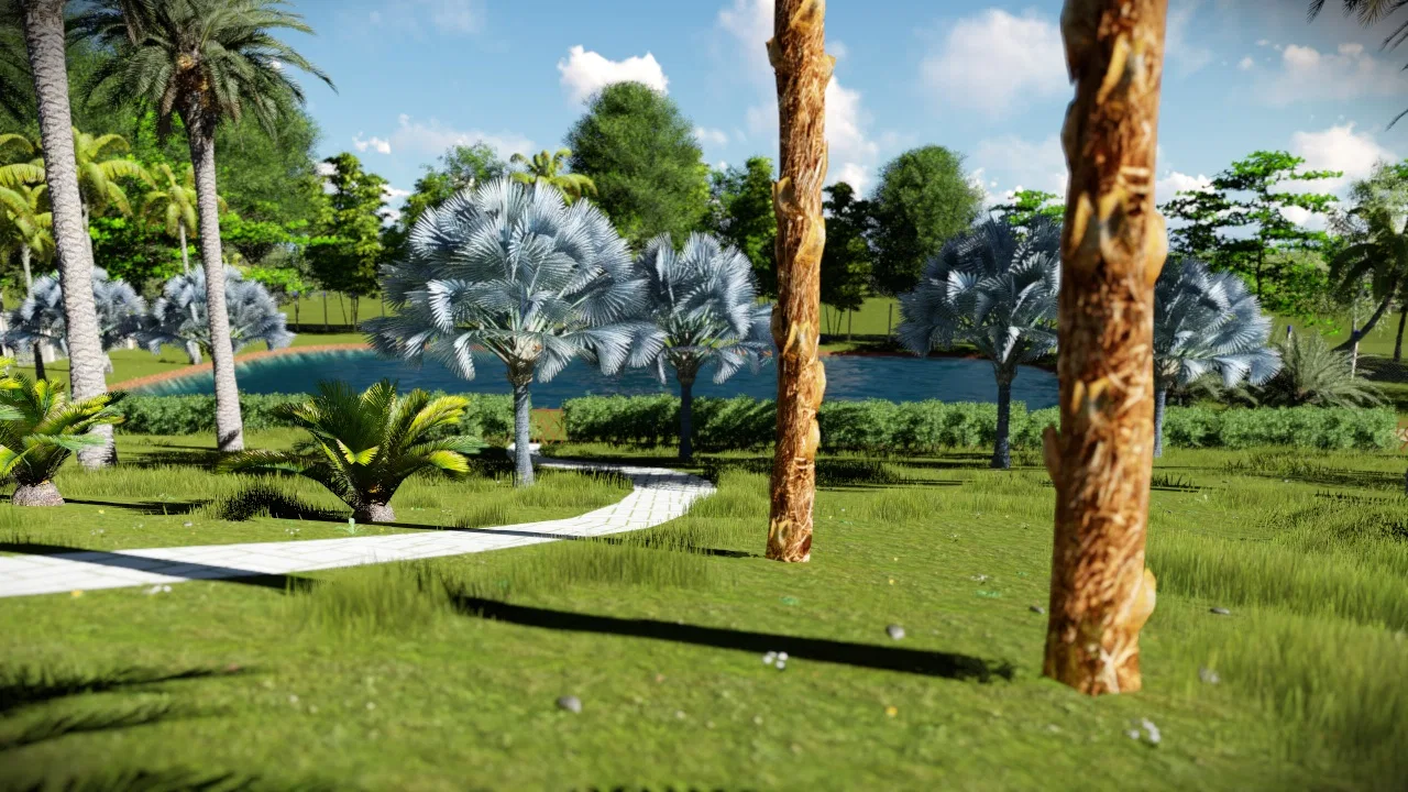 Lago artificial com palmeiras de folhagem azulada e caminho serpenteante em piso claro entre a vegetação
