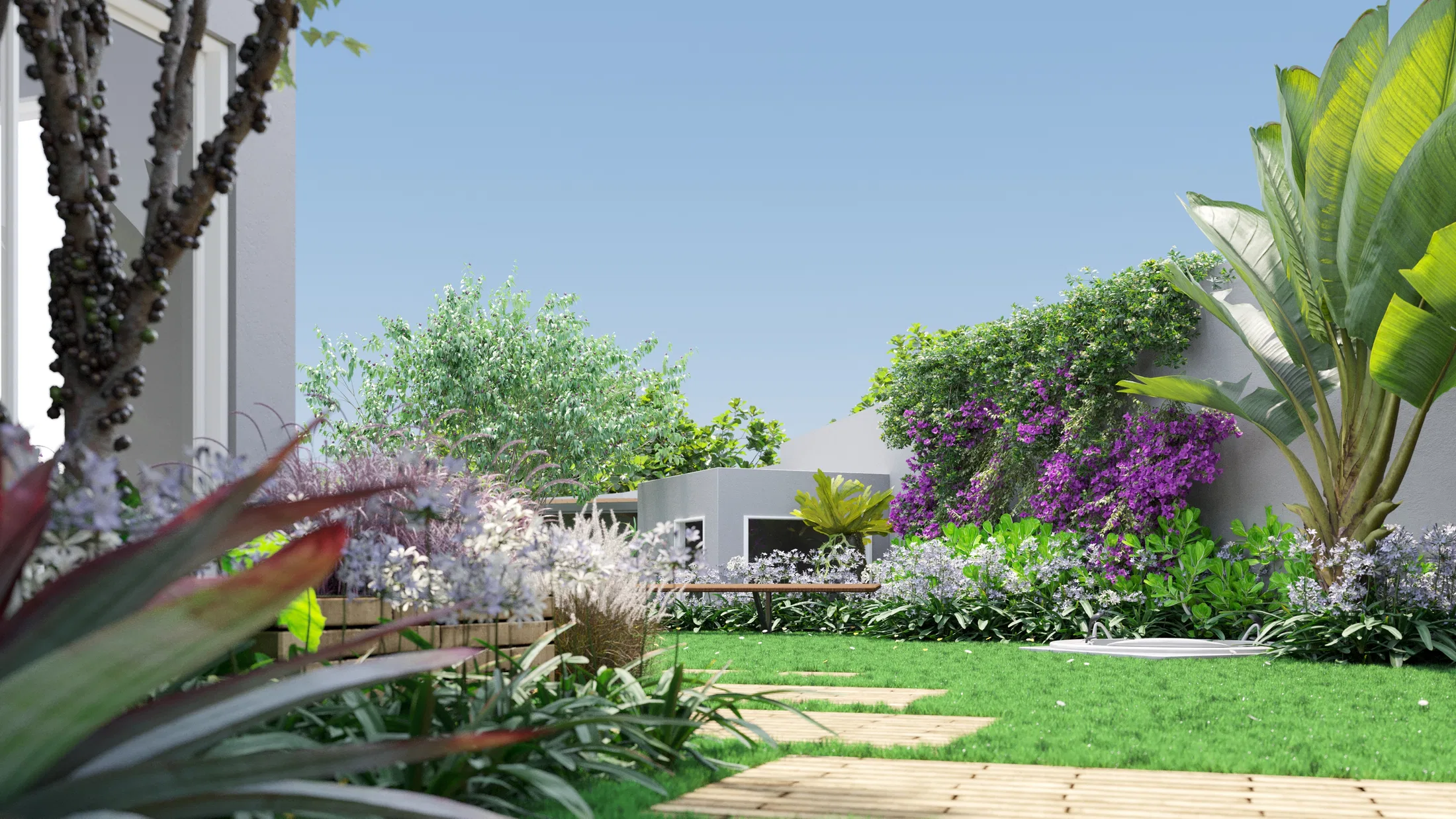 Jardim com maciços de agapantos brancos, gramíneas e buganvília no muro, estrelícia à direita e cordiline avermelhada em primeiro plano.