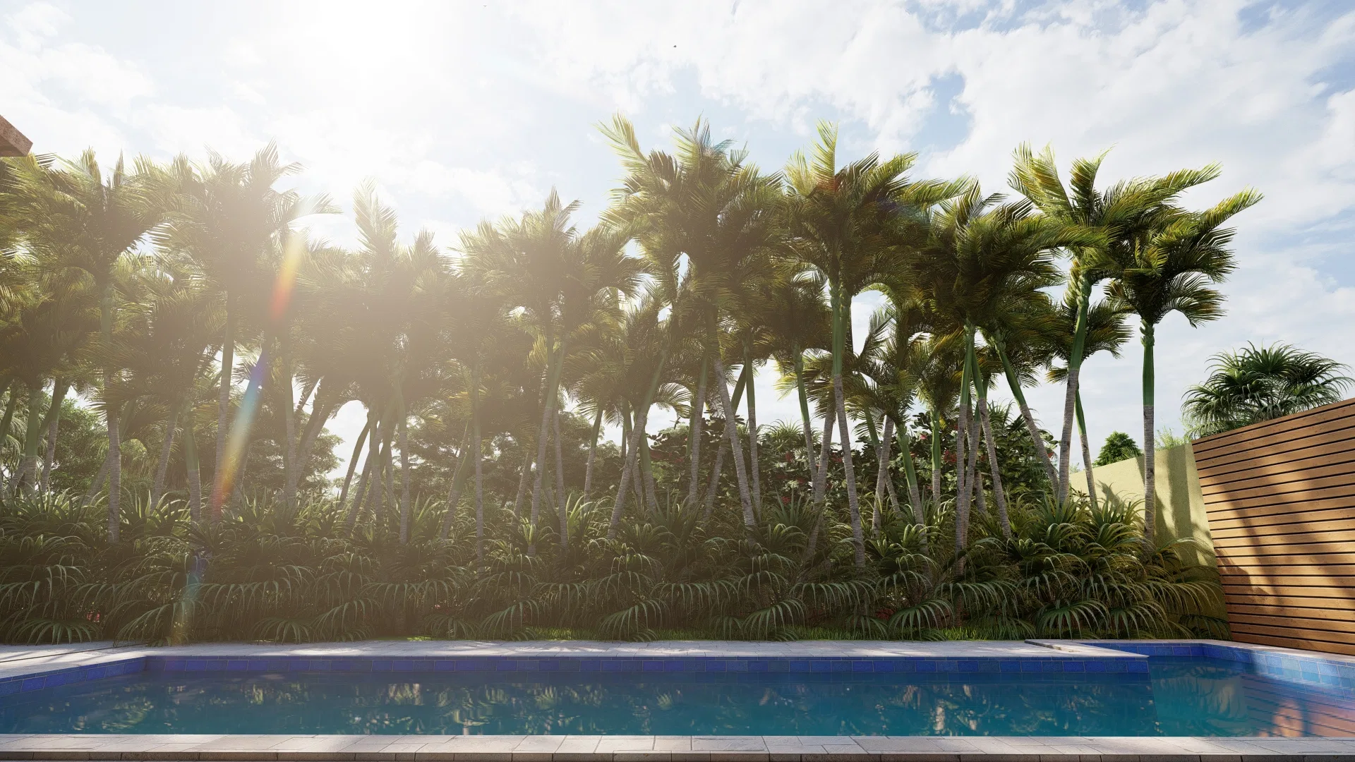 Piscina retangular contra a luz do sol, emoldurada por palmeiras altas e vegetação densa junto ao muro.