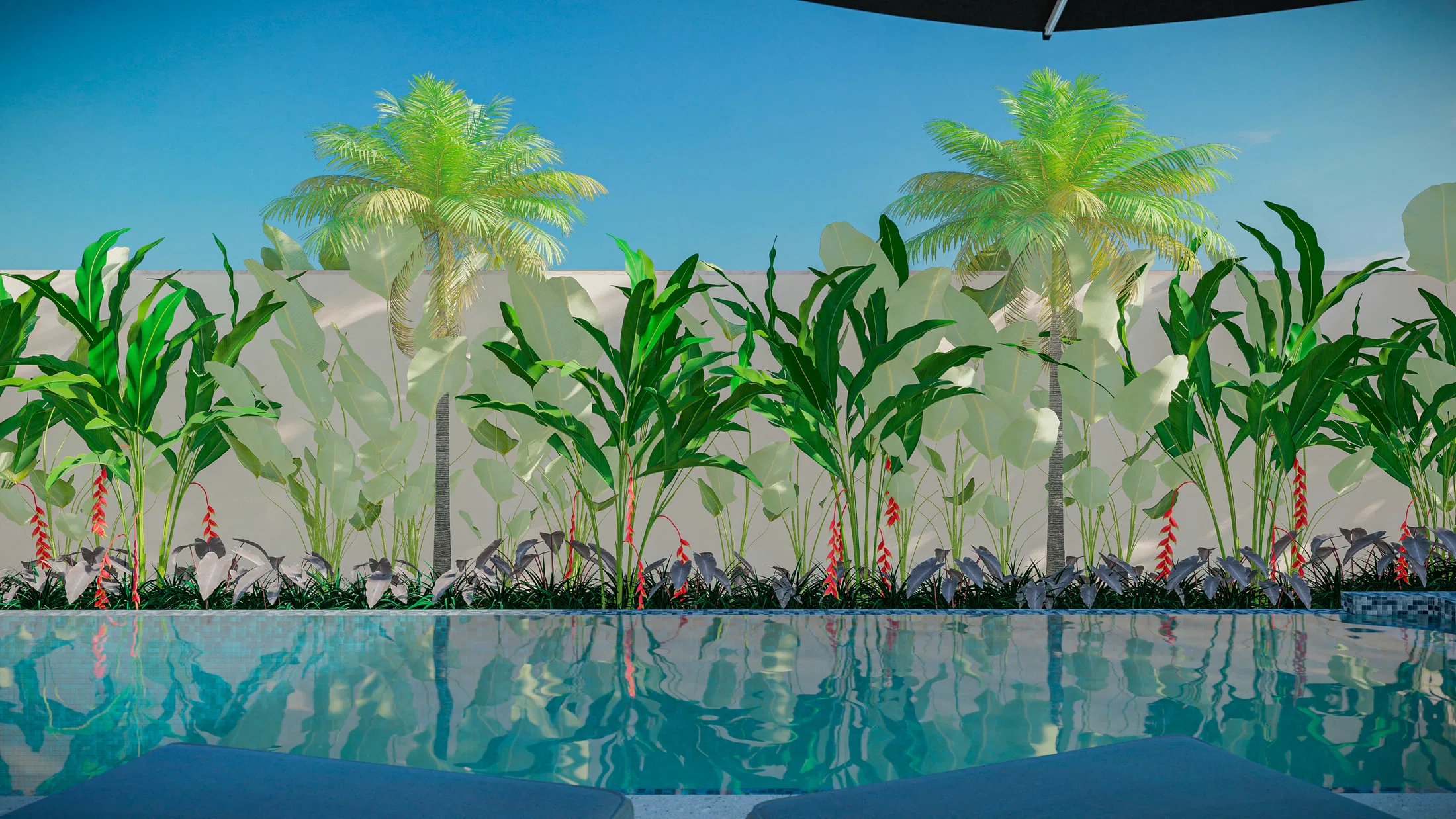 Borda de piscina com maciço tropical, dois coqueiros e helicônias vermelhas recortados contra muro branco sob céu azul
