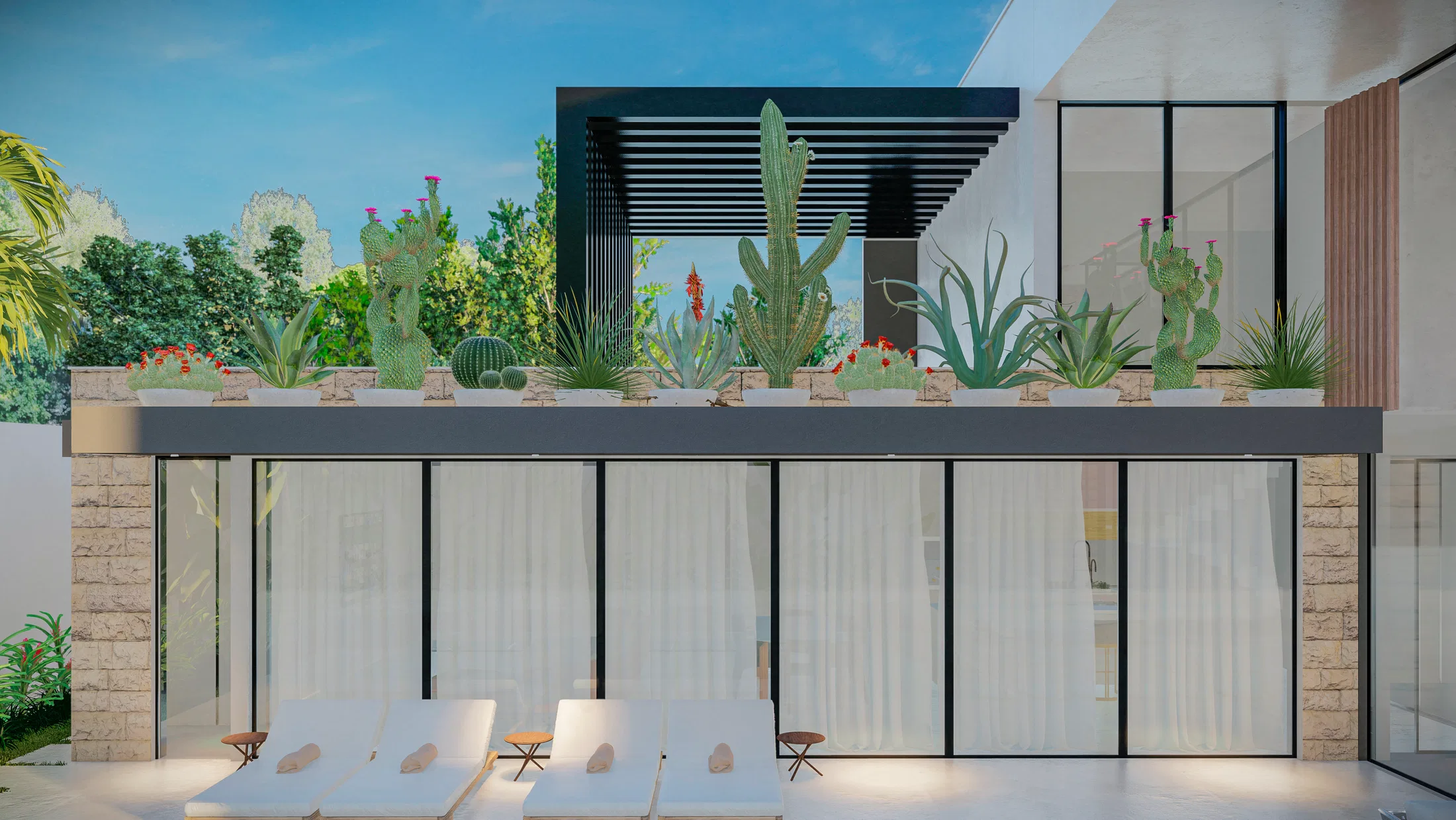Terraço dos fundos com vidros e cortinas claras, três espreguiçadeiras brancas e, na cobertura, um jardim de cactos, agaves e suculentas sob pergolado escuro.