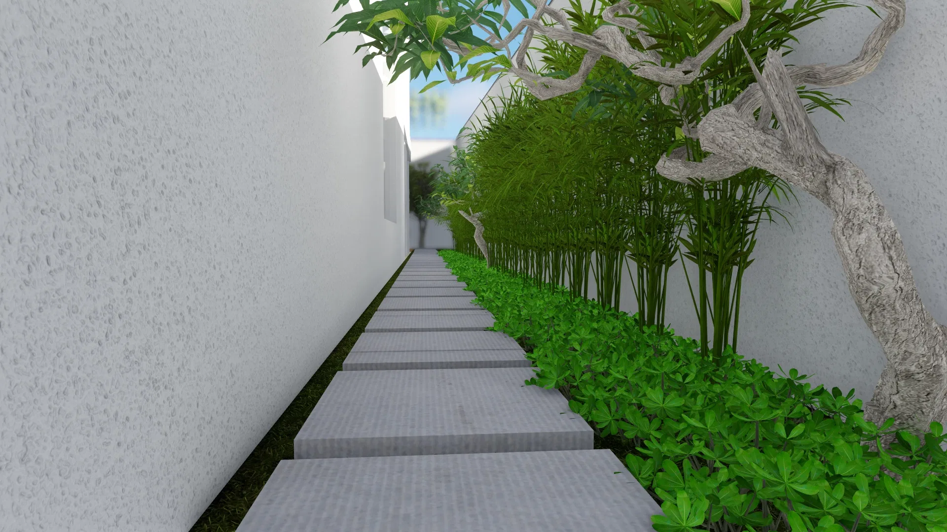Corredor lateral entre muros brancos com caminho de pedras, cerca-viva de bambu, forração verde e uma árvore de tronco retorcido