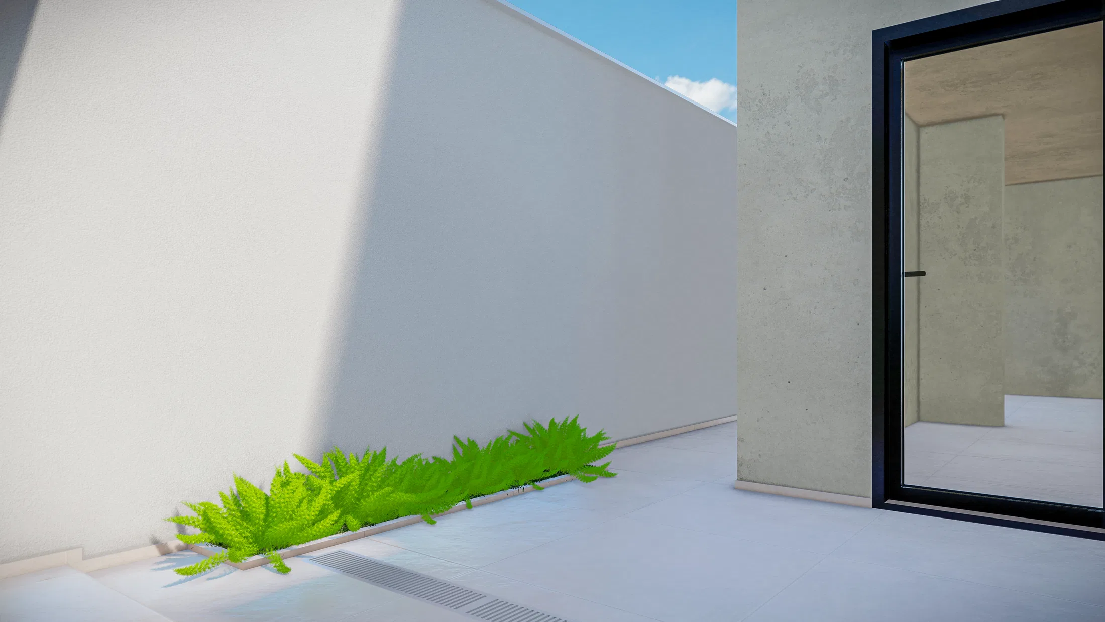Detalhe de samambaias rasteiras junto ao muro branco, próximas à porta envidraçada