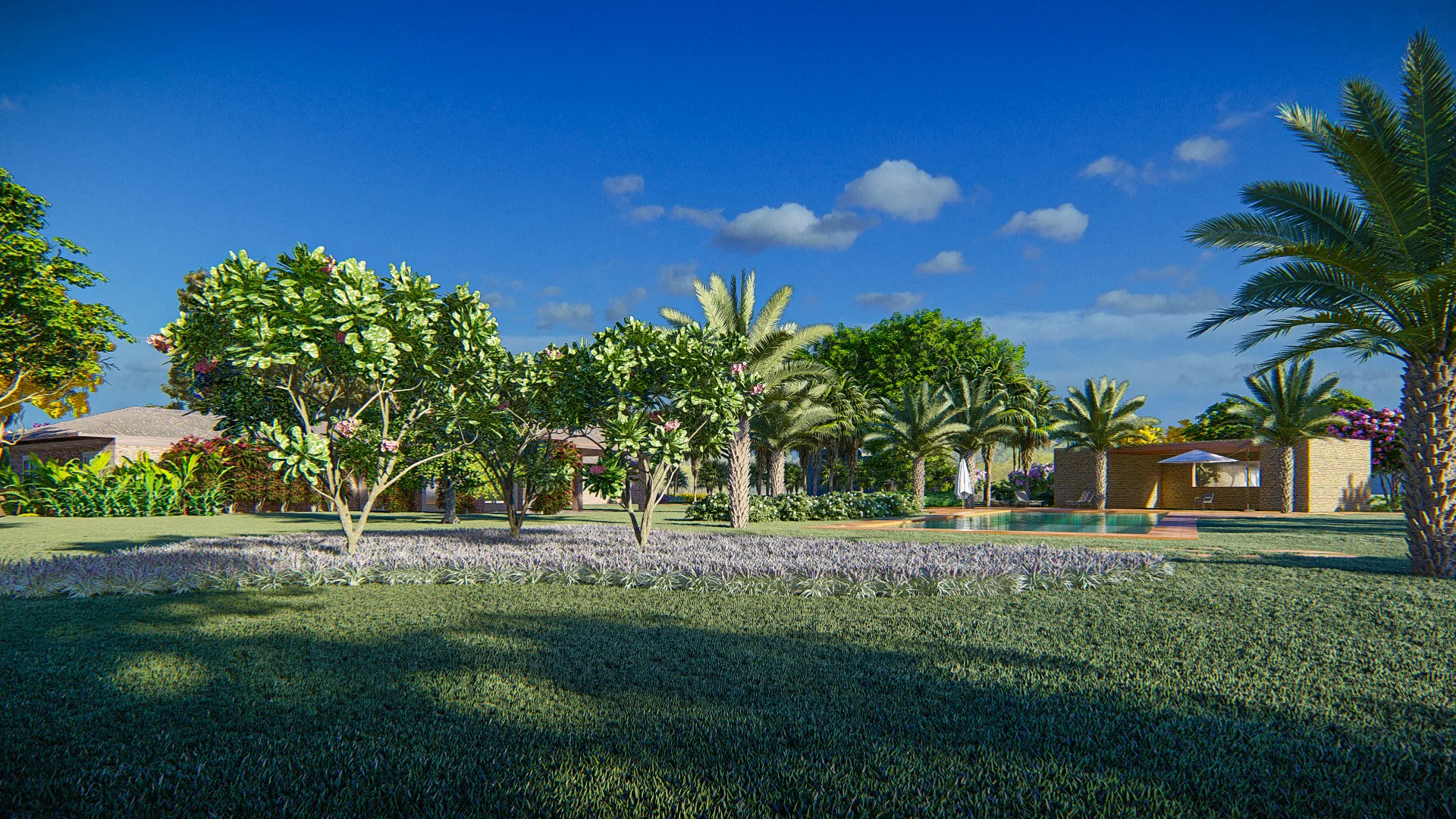 Vista ampla diurna com árvores floridas em primeiro plano emoldurando a piscina e um pavilhão de apoio ao fundo