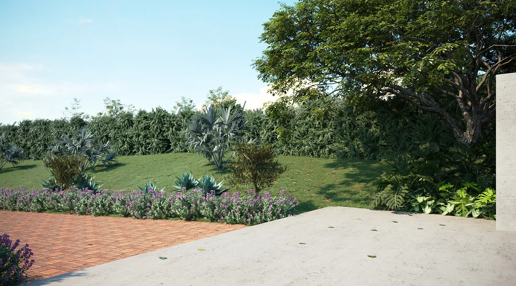 Borda de jardim com terraço de concreto, faixa de tijolinho, canteiro de flores roxas, agaves prateados e uma árvore frondosa.