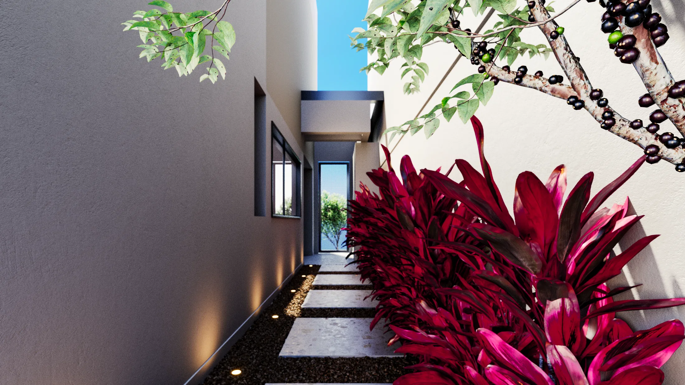 Jardim lateral estreito com caminho de pedras e balizadores, folhagens magenta e galho de jabuticabeira levando à porta de entrada.
