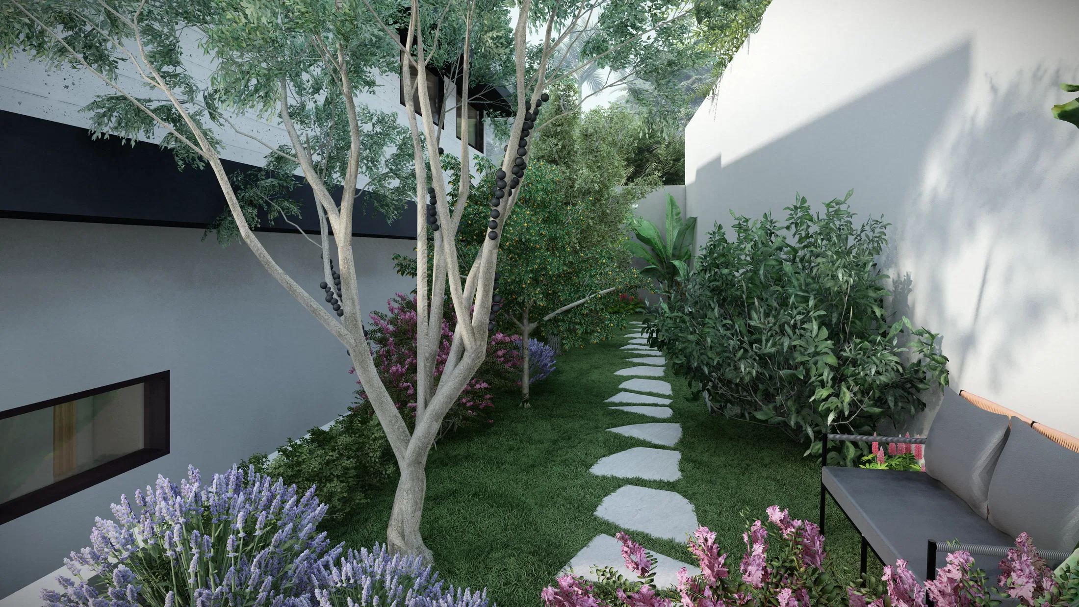 Jardim lateral estreito com árvore de tronco múltiplo, caminho de placas de pedra entre gramado e canteiros de lavanda