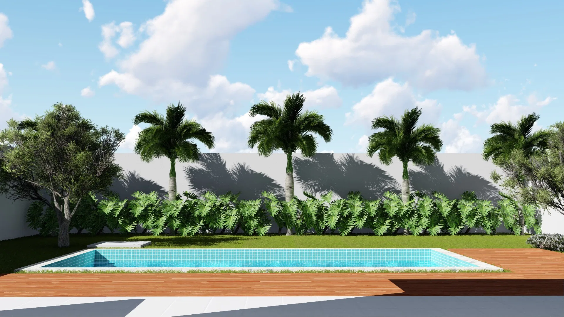 Piscina de revestimento azul com deck de madeira e, ao fundo, fileira de palmeiras sobre uma sebe de folhagem rente ao muro branco.