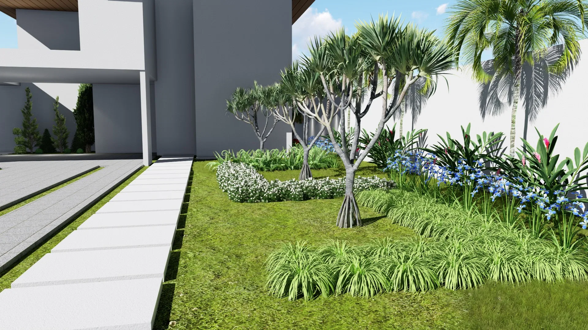 Jardim de acesso junto à casa, com caminho de degraus de concreto, árvore de folhas em roseta, forração branca e agapantos azuis entre gramíneas.
