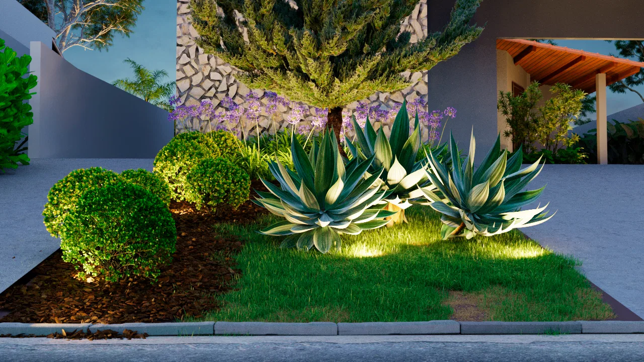 Canteiro de entrada com buchinhos podados em esfera, agaves iluminadas e árvore de destaque contra parede de pedra