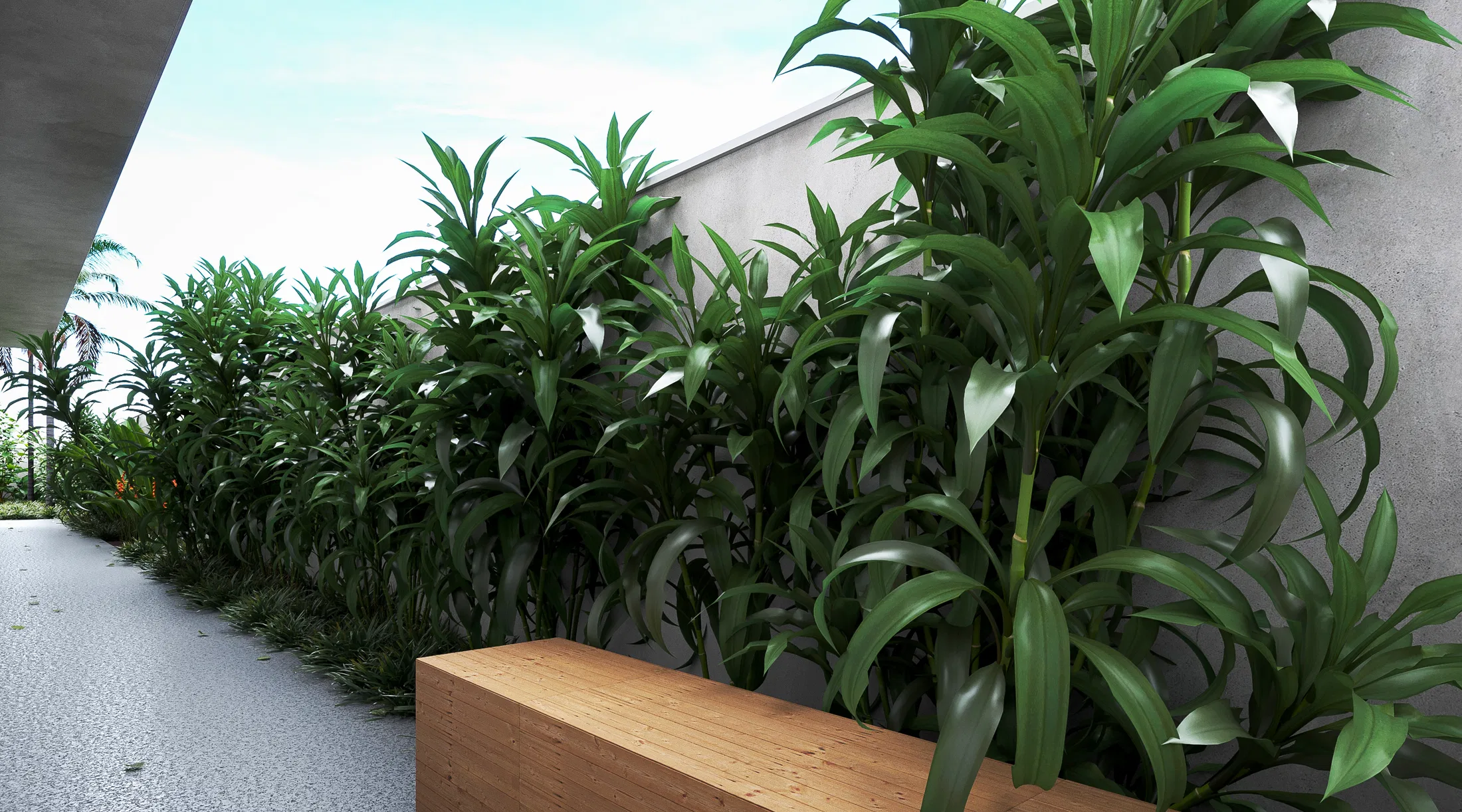 Faixa de dracenas verdes alinhada ao muro cinza, banco maciço de madeira e piso de concreto liso sob beiral em balanço