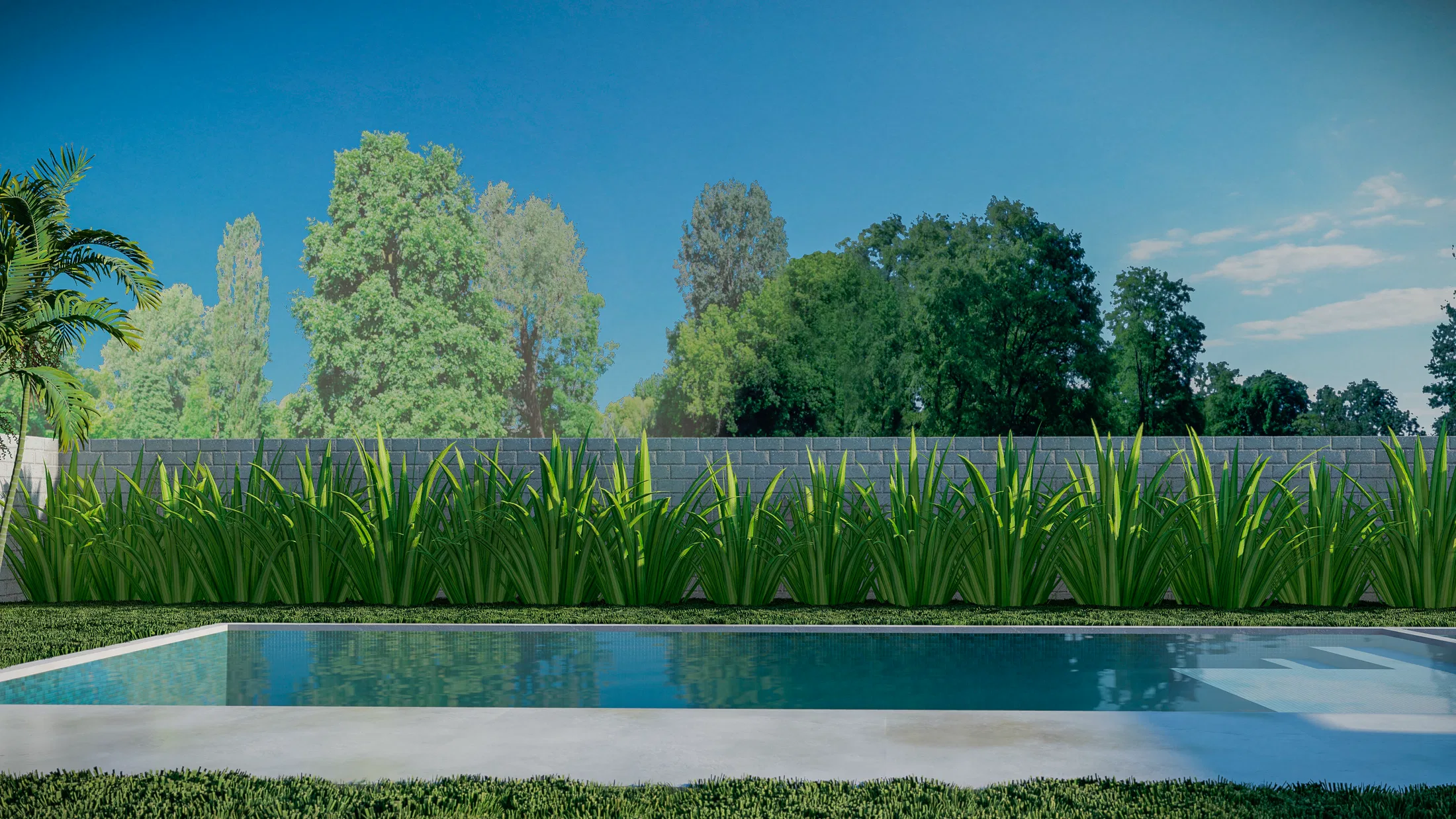Piscina emoldurada por muro claro e cortina de gramíneas altas, com árvores frondosas ao fundo sob céu azul.