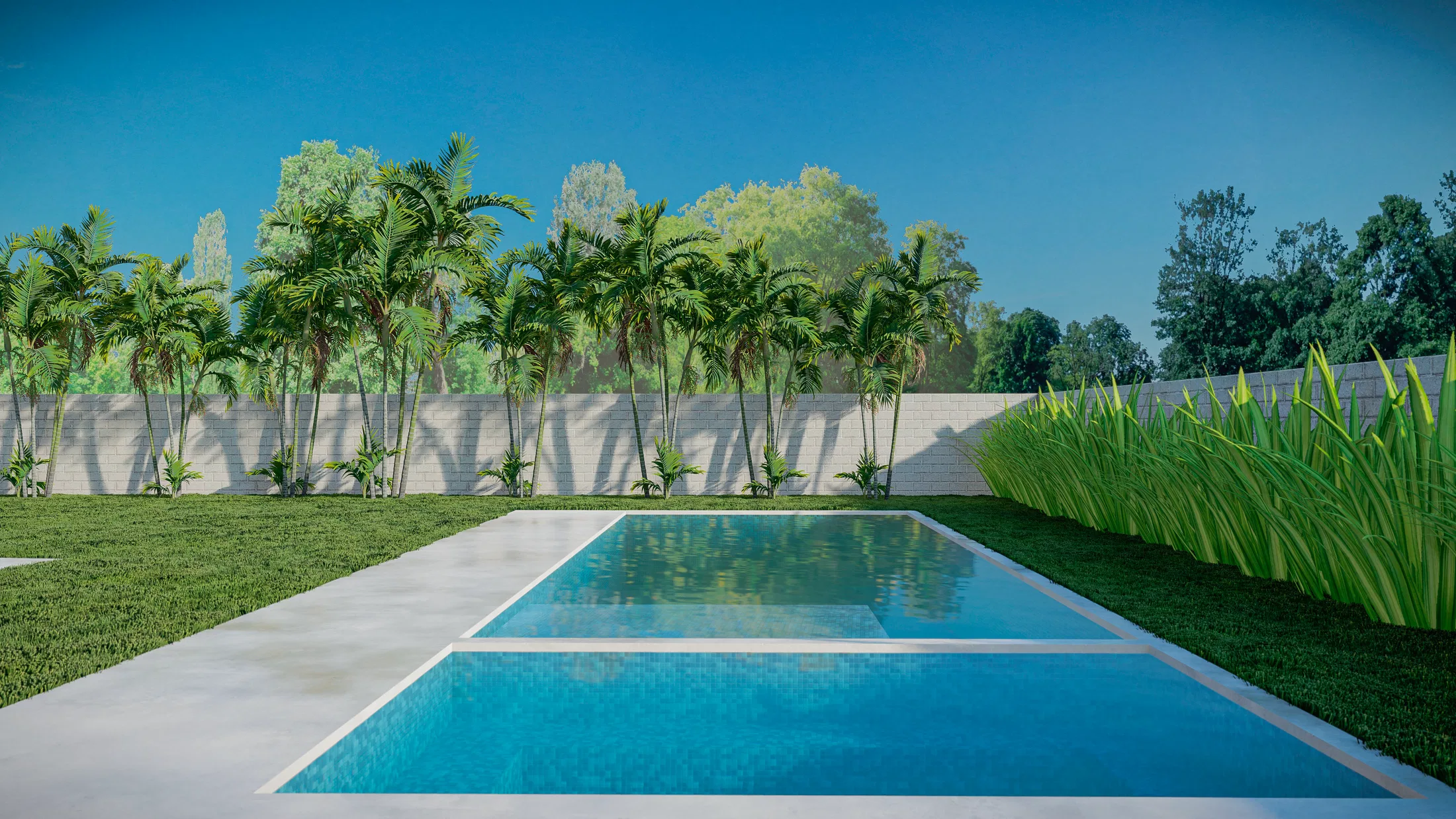 Vista ampla de piscina retangular dividida em dois módulos, ladeada por palmeiras junto ao muro e cortina de gramíneas do outro lado.