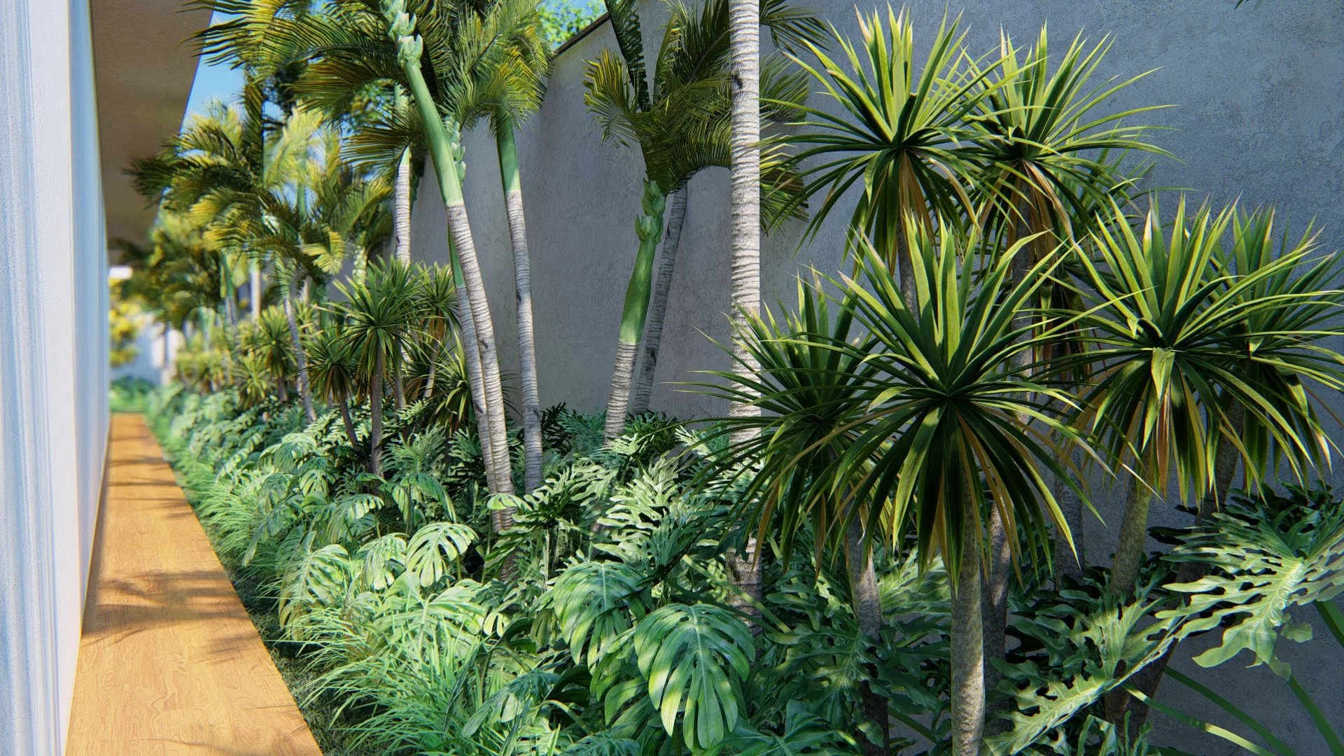 Corredor perimetral com fileira de palmeiras rente ao muro de concreto, sub-bosque de folhagens tropicais e caminho de deck de madeira