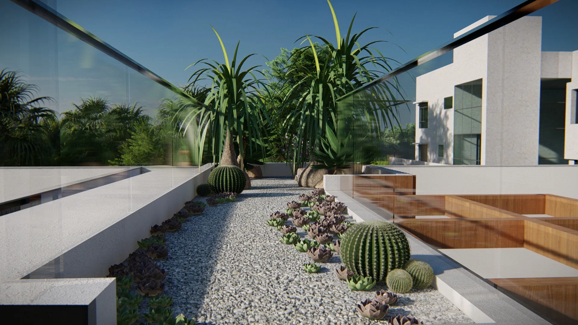 Terraço com jardim seco de cascalho emoldurado por guarda-corpo de vidro, com cactos-bola, suculentas em roseta e palmeiras-pata-de-elefante