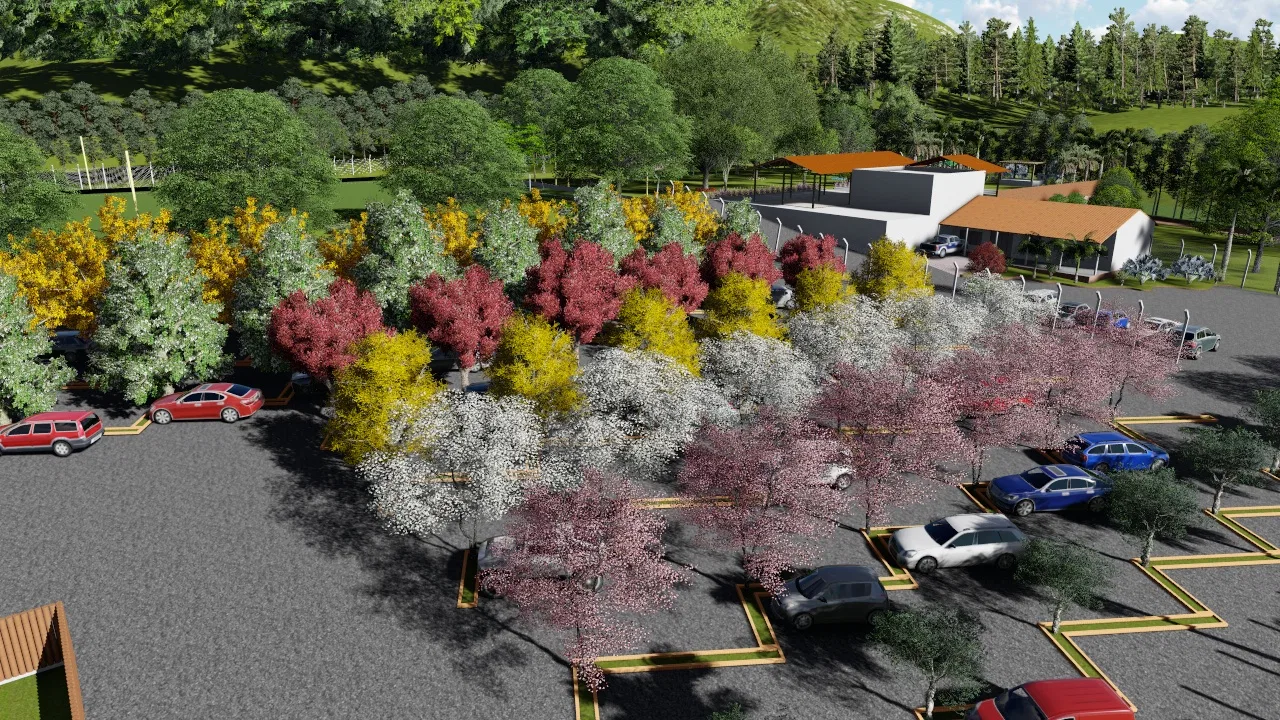 Vista aérea do estacionamento com vagas demarcadas e fileiras de ipês floridos em amarelo, rosa e branco, veículos estacionados e edifício ao fundo entre morros