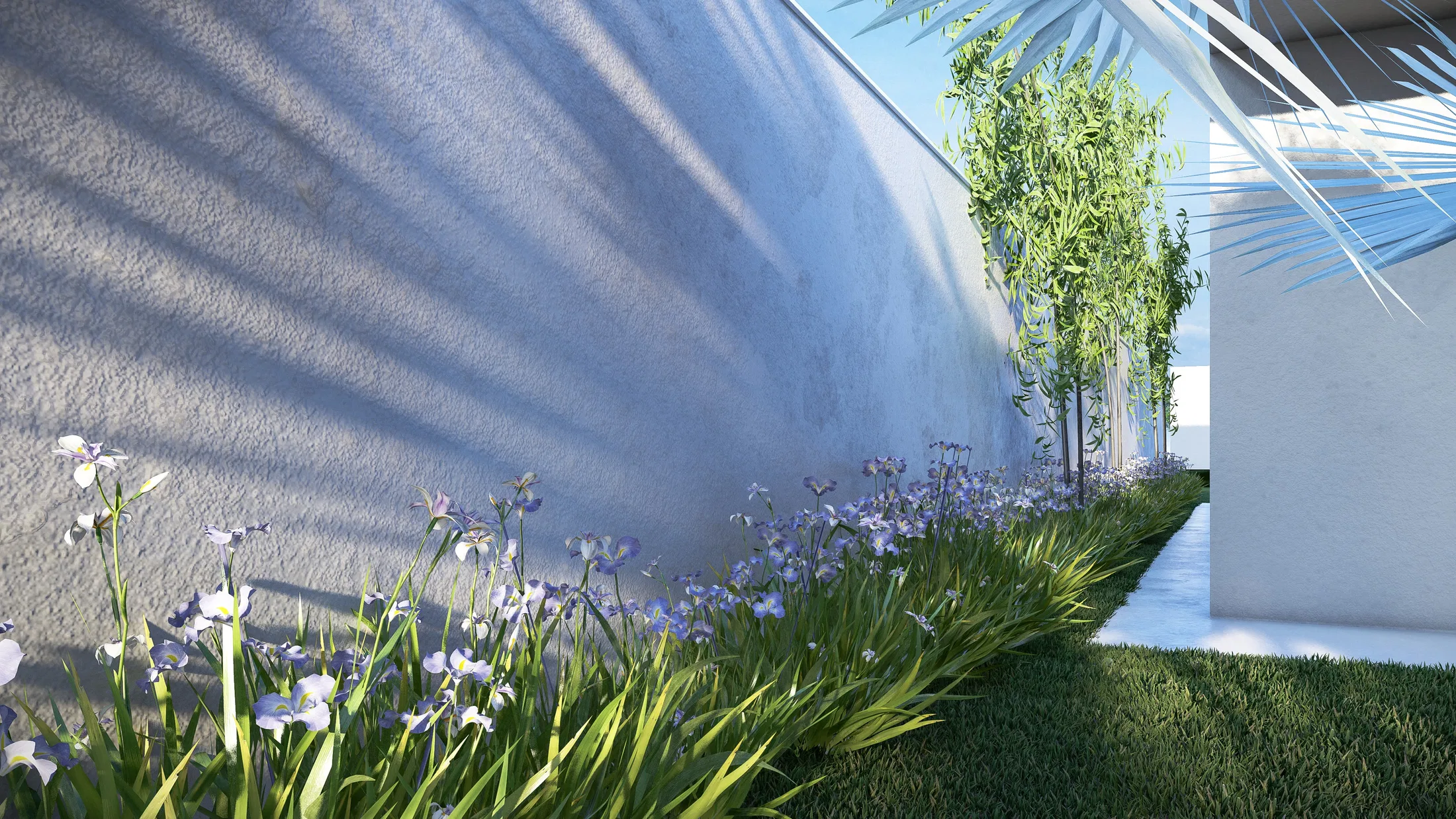 Muro branco curvo com canteiro de flores lilases e brancas na base, grama rente e sombras longas de frondes ao sol