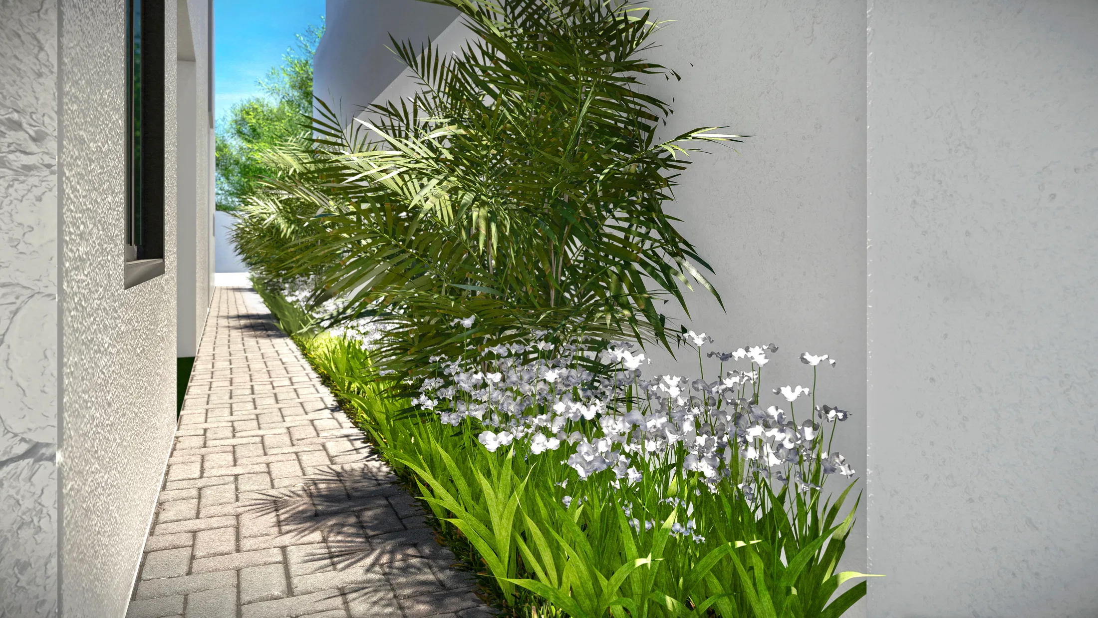 Passagem lateral em pisos intertravados, com muro de pedra, palmeira-bambu e canteiro de flores brancas iluminado pelo sol
