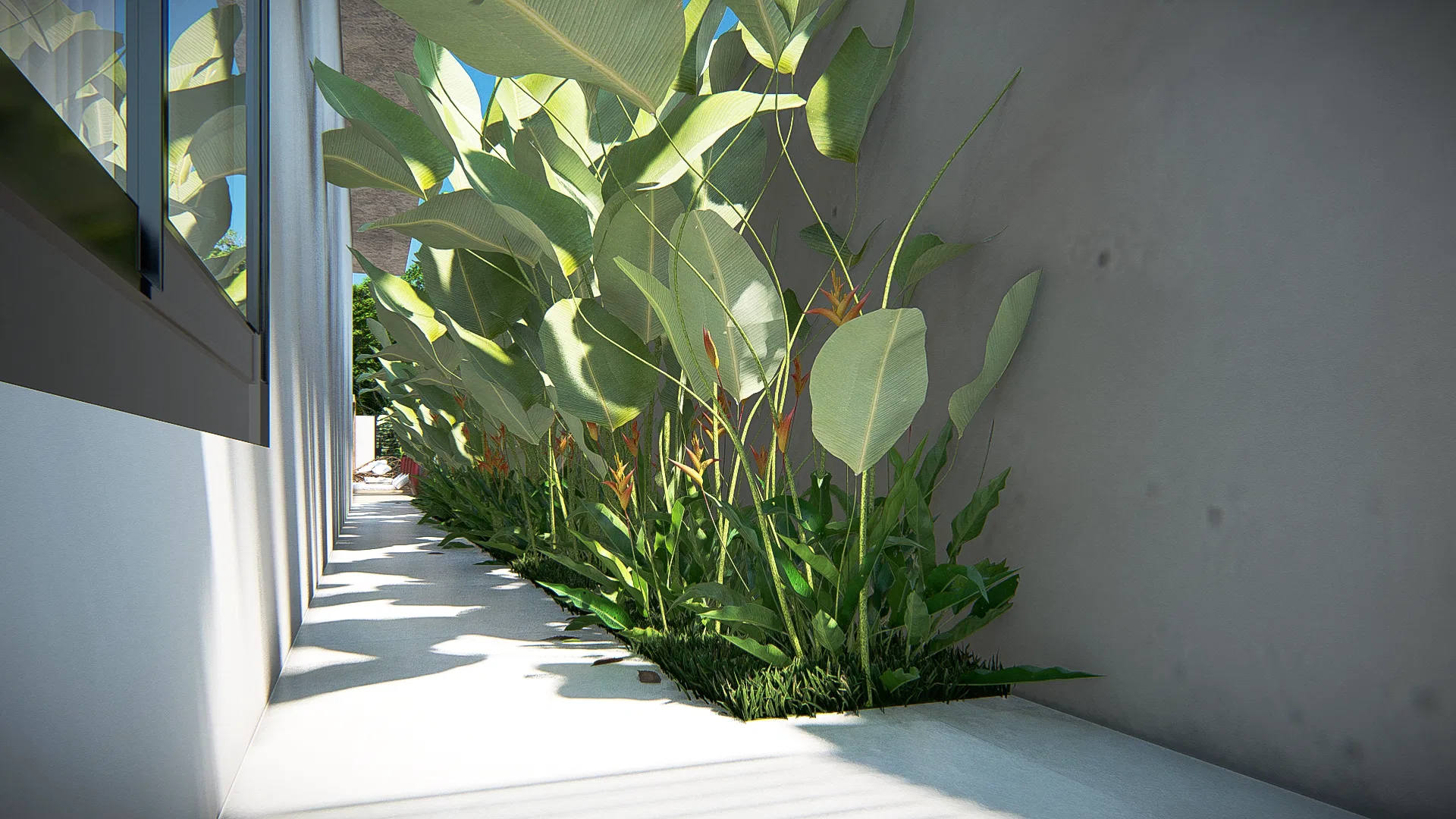 Faixa lateral ajardinada entre a casa e o muro, com folhagens largas de estrelícia e helicônias iluminadas pelo sol junto aos panos de vidro
