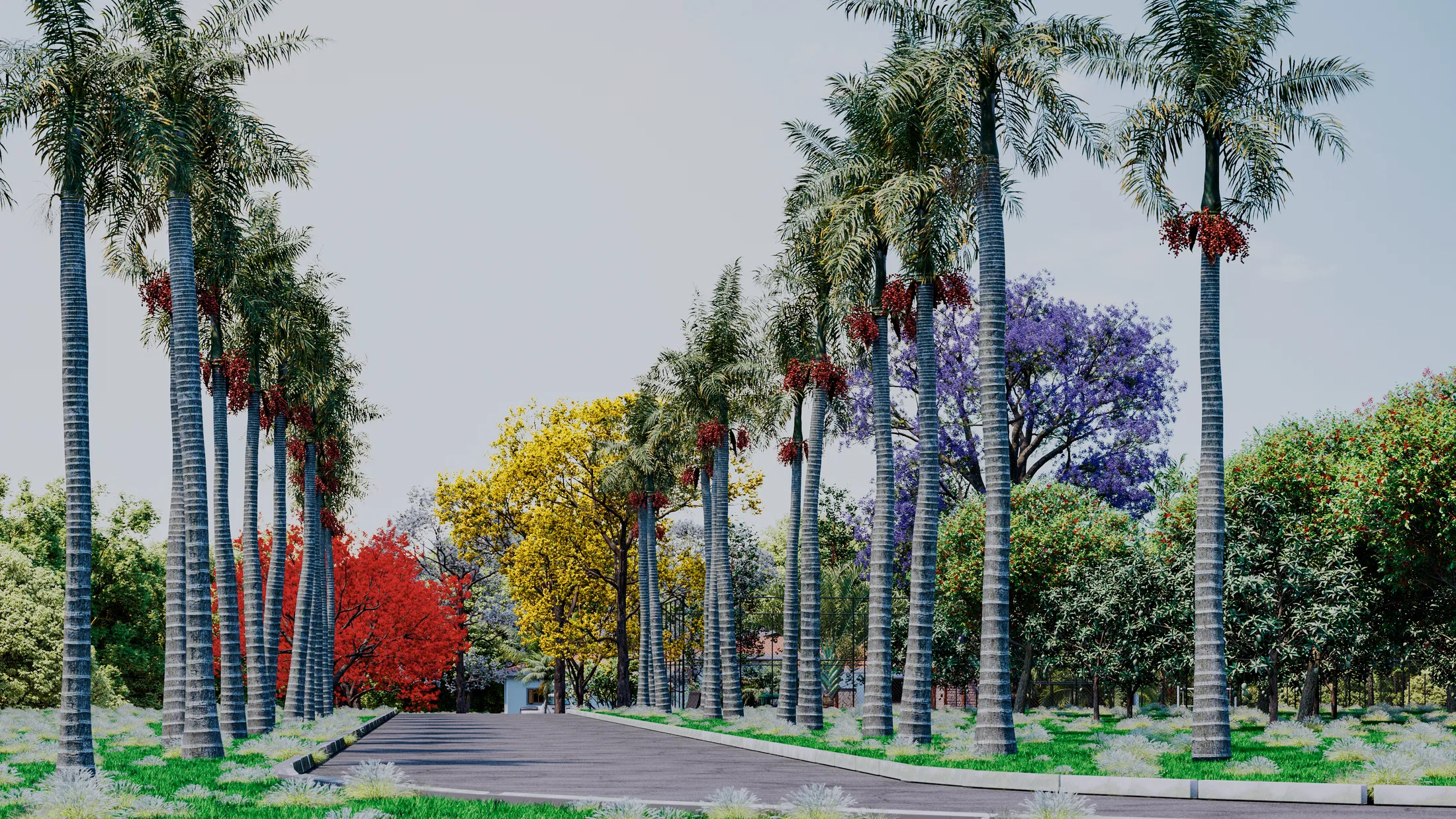 Alameda de palmeiras altas intercaladas com árvores floridas em vermelho, amarelo e roxo ao longo da via.