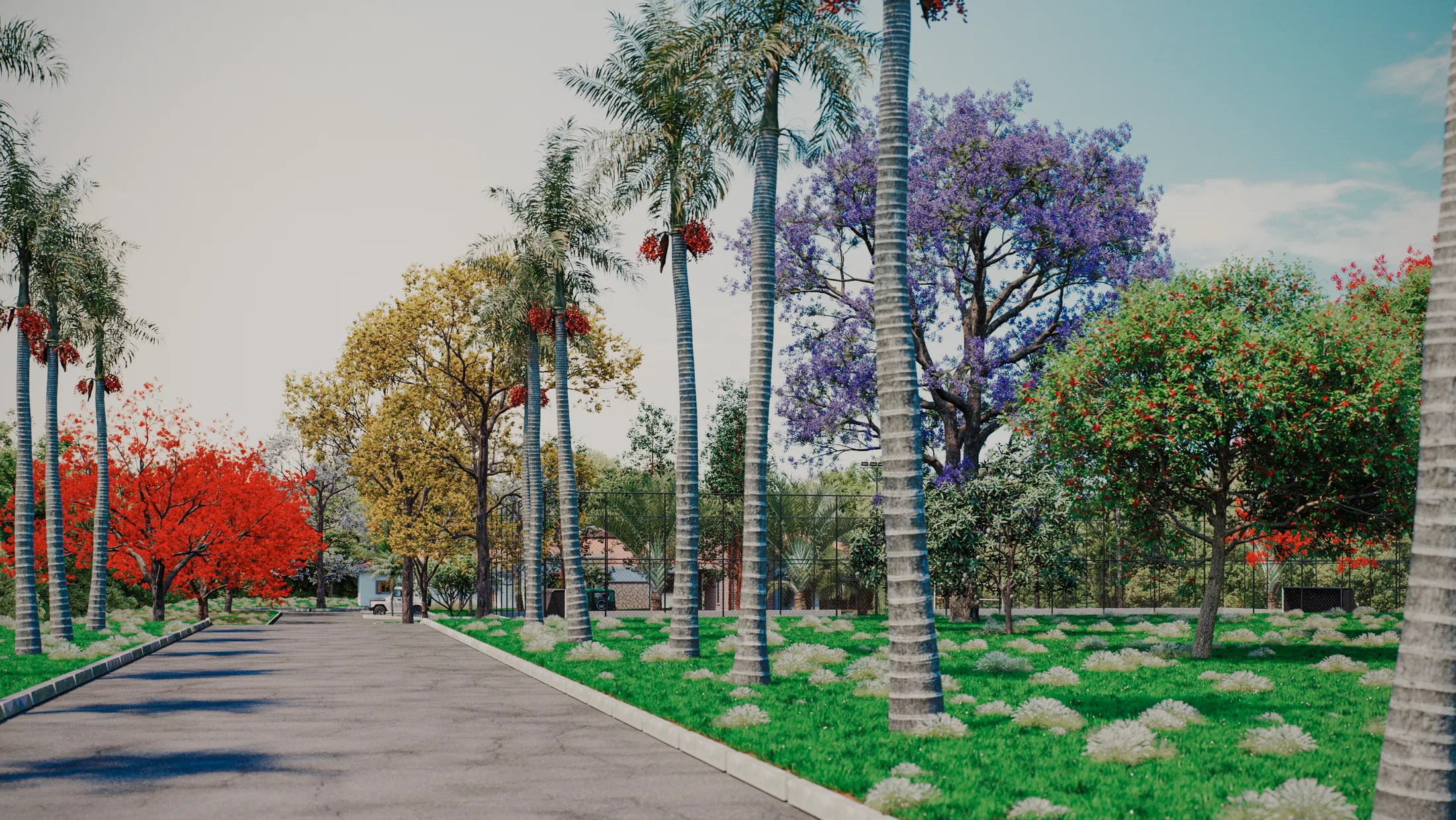 Via de acesso ladeada por palmeiras altas, árvore florida vermelha e jacarandá roxo ao longo do caminho.