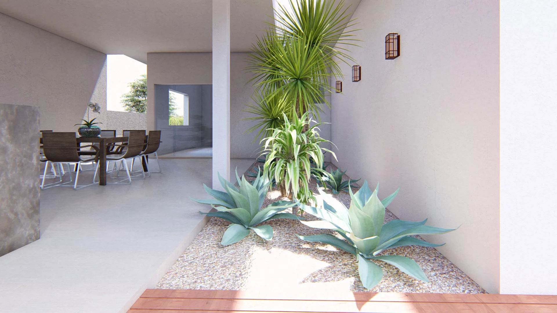 Pátio interno com canteiro de seixos, agaves azulados e dracena ramificada junto a paredes brancas, com área de refeições e piso de madeira ao lado