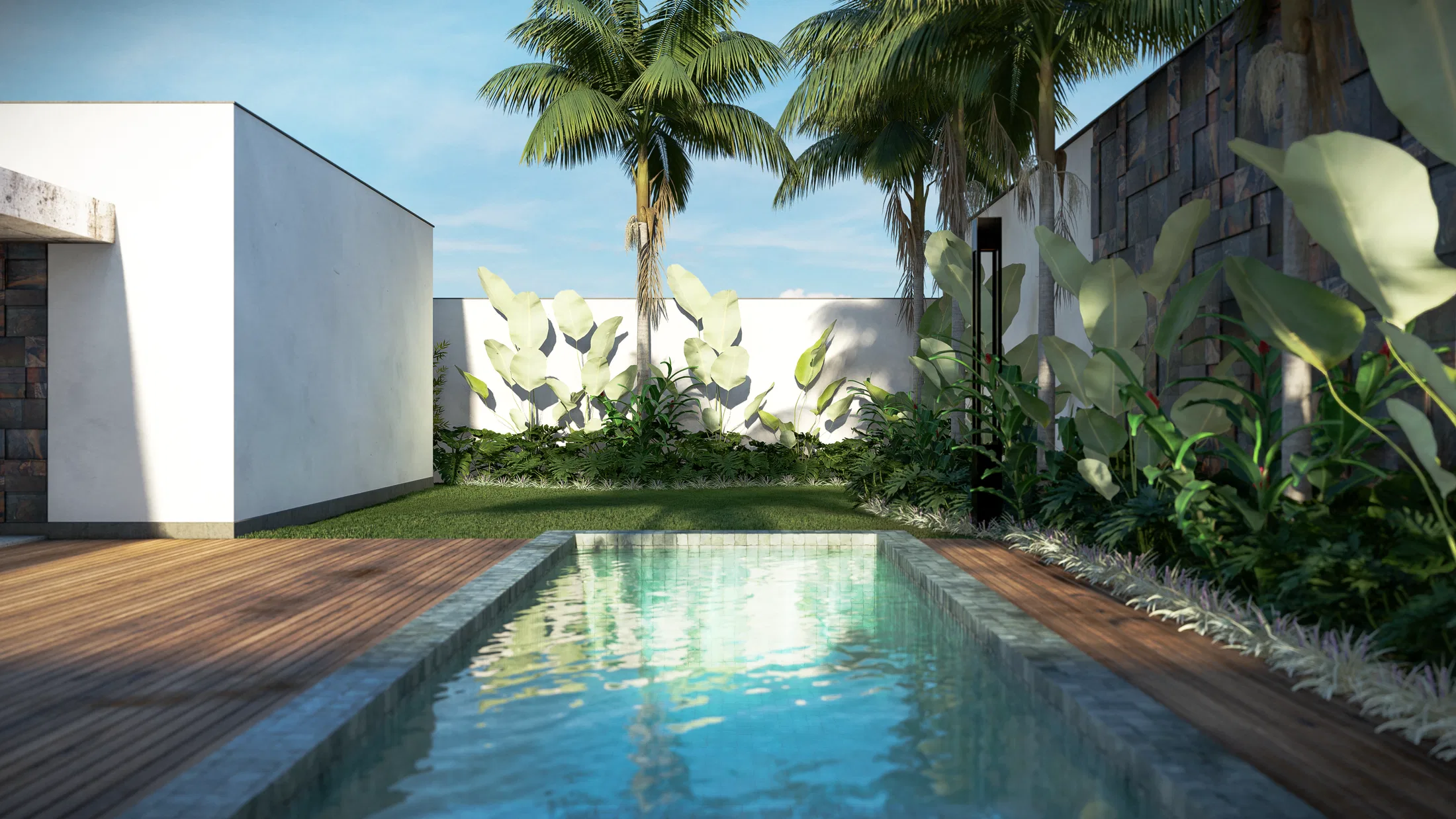 Piscina alongada refletindo palmeiras, com deck de madeira, muro claro ao fundo e maciços de folhas largas emoldurando a água.