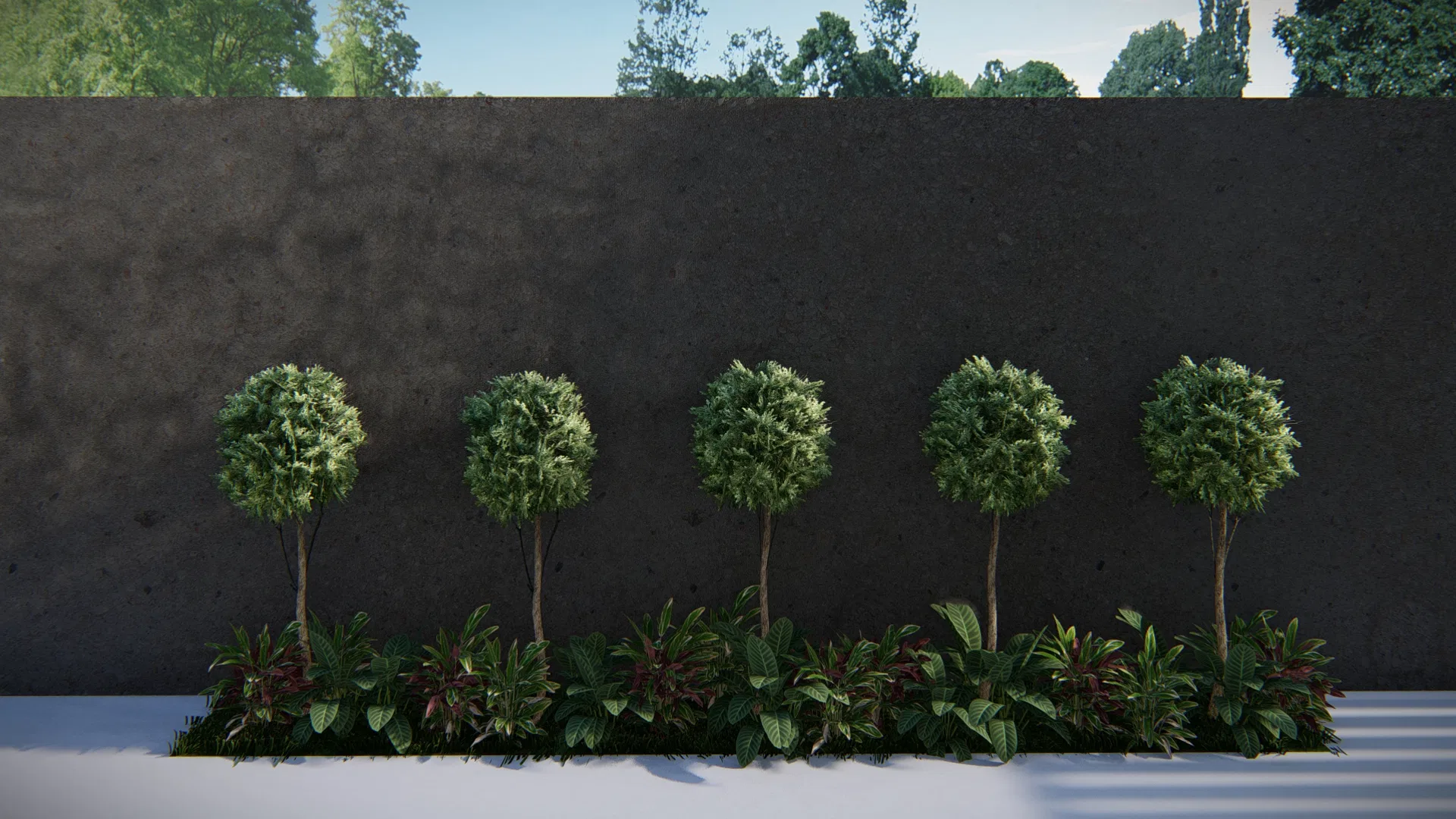 Renque de cinco arvoretas topiadas em forma de bola contra muro escuro, com base de folhagens vermelhas e verdes, sob luz de dia