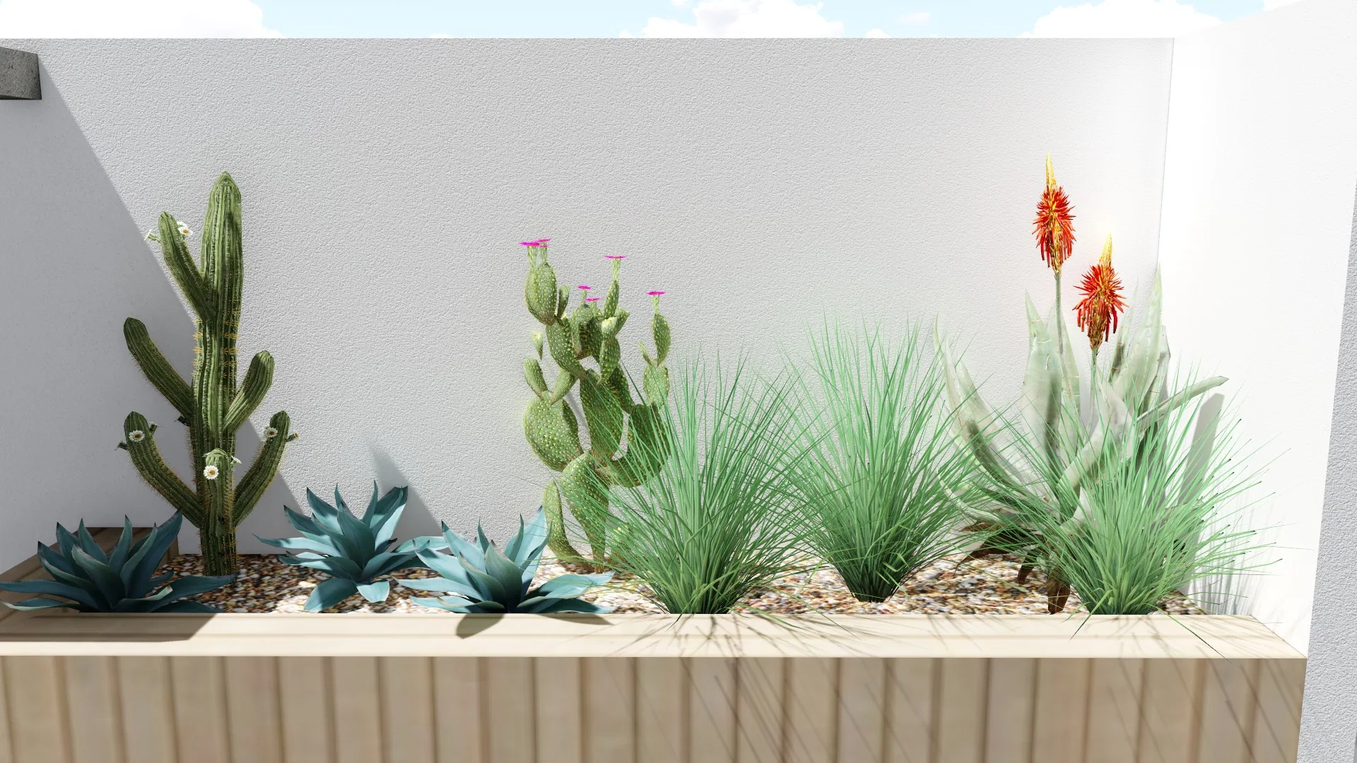 Canteiro elevado de madeira com cactos, agaves azuladas, suculentas e flores de aloe vera contra um muro branco